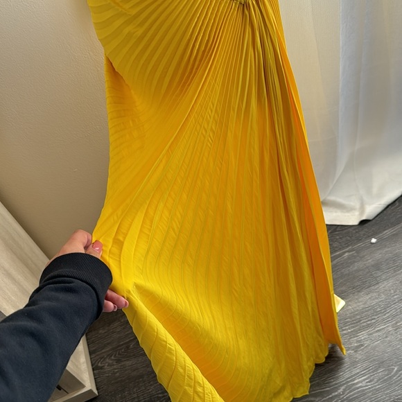 A.L.C DELFINA DRESS IN SOLE, SZ 4, BRAND NEW, $695 BRAND NEW - Picture 10 of 10